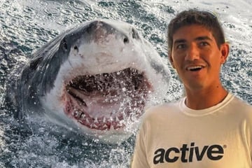 Albtraum im Paradies: Rettungsschwimmer von Hai schwer verletzt