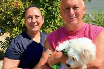 Erst aus Tötungsstation gerettet, jetzt das: Hubert Fella gibt Hündin Bella wieder ab