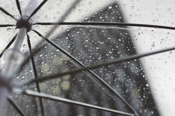 Grauer Mittwoch: Zur Mittagszeit wird es in Dresden kurz nass