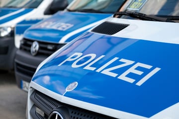 Zahlreiche Fälle in Pieschen: Autos und Häuser beschmiert