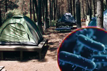 Albtraum beim Camping-Trip: Mann an Pest erkrankt