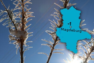 Sonnenschein und Frost: In Sachsen-Anhalt wird es bitterkalt