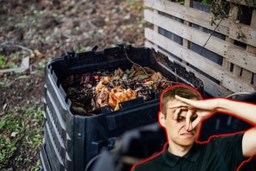 So übel muss Kompost nicht riechen: Tipps gegen den Gestank