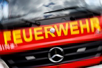 Mitten in der Nacht: Sieben Fahrzeuge auf Firmengelände in Brand - Hoher Sachschaden