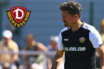 Gibt Dynamo-Coach heute Einblick in seine Stamm-Elf?