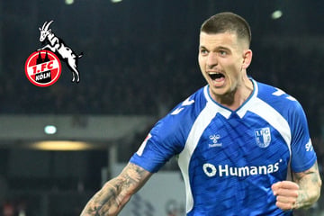 Millionen-Knipser soll kommen: 1. FC Köln hat diesen Stürmer im Auge