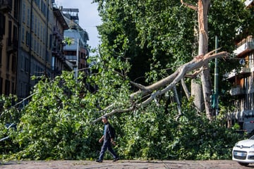 Unwetter mit tragischen Folgen: Mann von Baum erschlagen, Frau im Koma