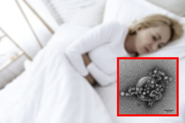 Mehr als 130 Fälle: Plötzlicher Norovirus-Ausbruch im Krankenhaus!