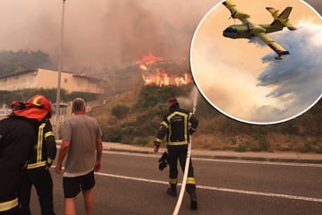Feuer-Drama im Urlaubsparadies! Touristen fliehen vor Waldbrand an Kroatiens Adria