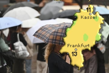 Hessen-Wetter: Nach dem Frost wird es nun wieder bis 14 Grad warm!