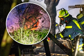 Großbrand in Kleingartenanlage: Feuerwehrmann bei Einsatz verletzt