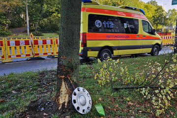 Er war mit 1,5 Promille unterwegs: Fiat-Fahrer kracht auf dem Roßplatz gegen Baum