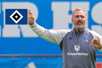 HSV-Coach Tim Walter warnt vor Osnabrück und sieht Glatzel in der Nationalelf