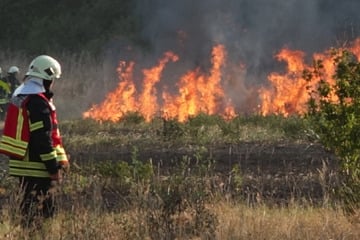 Leipzig: Feuerwehr im Dauereinsatz: Mehrere Feld- und Waldbrände in Leipzig