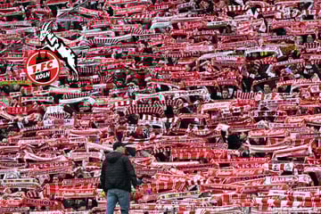 "Feind schlagen - Die Klasse halten!": Fans peitschen 1. FC Köln vor Rhein-Derby an