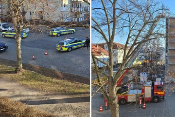 Dresden: Dämmplatten stürzen von Schulneubau in Seidnitz