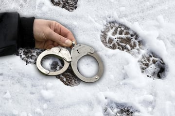 Dresden: Spuren im Schnee: Amateurhafter Einbrecher in der Neustadt gefasst