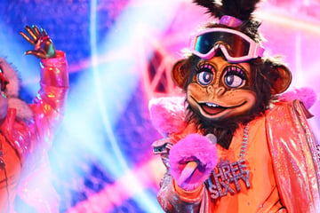 The Masked Singer: Aufgeflogen! "Masked Singer"-Urgestein hat die Fronten gewechselt – und wurde entlarvt