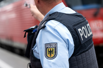 Zugbegleiterin erwischt Schwarzfahrer - dann eskaliert die Situation