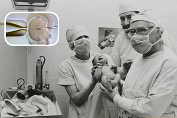 Heute vor 48 Jahren: Die Geburt dieses Babys gab Millionen Menschen Hoffnung