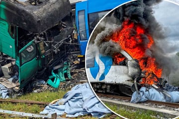 16 Verletzte nach Zugunglück: Trucker übersieht Ampel, S-Bahn kann nicht mehr bremsen