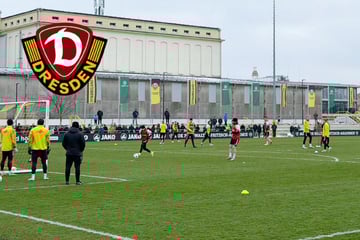 Dynamo-Dresden-Blog: Julian Pauli steht wieder auf dem Platz, aber es gibt einen Haken