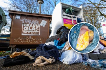 Bizarrer Ekelfund: Polizei klärt Rätsel um abgelegte Riesenschlange