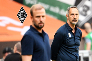 Paukenschlag bei Borussia Mönchengladbach! Coach Adi Hütter hört auf
