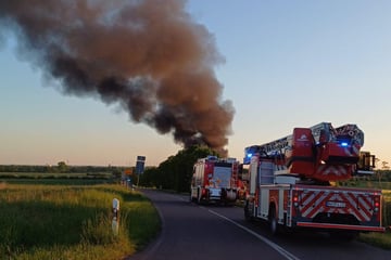 Großbrand führt zu giftiger Rauchwolke über Bernburg: Entwarnung!