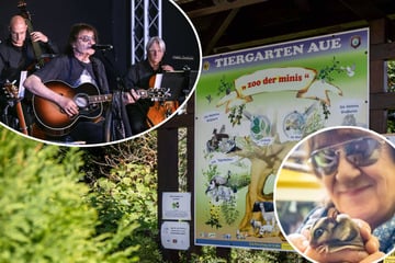Zoo der Minis lädt zum Patentag: Dieter "Maschine" Birr verbindet Konzert mit Besuch bei seinem Sugar Glider
