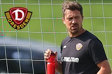 Rote Karte im Testspiel: Das sagt Dynamo-Trainer Thomas Stamm nach seinem ersten Platzverweis