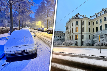 Wintereinbruch in Dresden - plötzlich ist es wieder weiß!