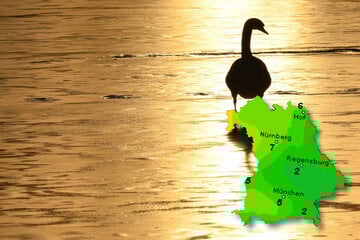 Schnee ade: Bis zu elf Grad und Sonne im Freistaat erwartet