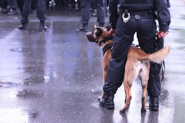 Köln: Polizeieinsatz in Kölner Brennpunkt: Super-Spürnase erschnüffelt Dieb in U-Bahn-Schacht