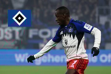 HSV-Blog: HSV setzt Cut hinter Sufffahrt von Jean-Luc Dompé