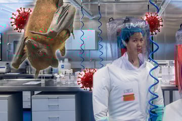 Endlich Klarheit? Neue Hinweise zum Ursprung der Covid-Pandemie