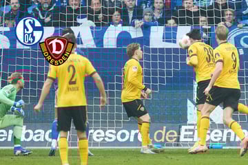 SGD egalisiert 0:2-Rückstand auf Schalke und punktet auch beim Tabellenführer!