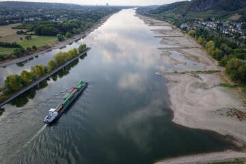Niedrigwasser im Rhein wird für viele Tiere zur echten Gefahr!