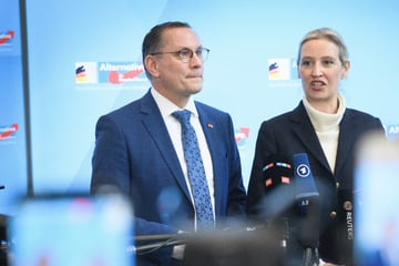 Mit Eilantrag: AfD verklagt Verfassungsschutz