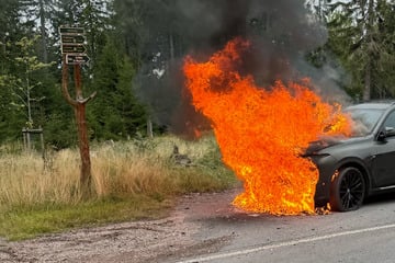 Kontroll-Leuchte blinkt - Plötzlich geht Luxus-SUV in Flammen auf!