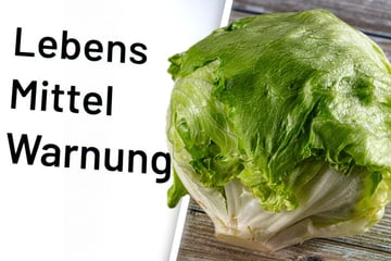 Salmonellen-Alarm bei Edeka: Finger weg von diesem Salat