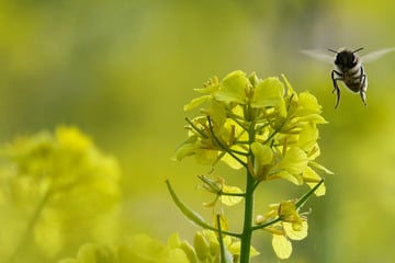 Wetter im Ländle: Das folgt auf den Regen-Sonntag!