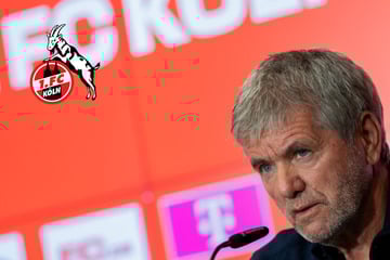 Friedhelm Funkel zurück in Köln! So liefen die Gespräche mit dem FC wirklich ab