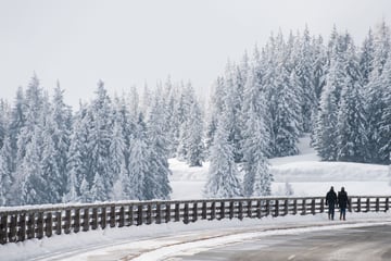 Unfall auf beliebter Panoramastraße: Drifter flüchtet und lässt kaputtes Auto zurück