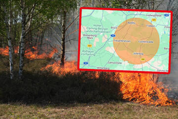 Nächster Waldbrand auf altem Militärgelände bei Jüterbog