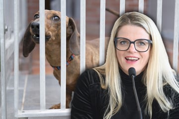 Bekommen Sachsens Tierheime bald weniger Geld?