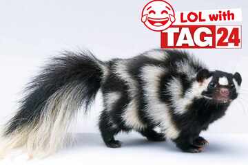 Joke of the Day for December 5, 2025: A smelly silly for you