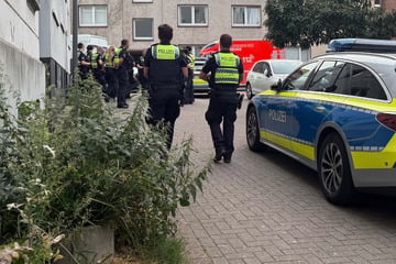 Hamburg: Zank zwischen Familien? Knapp 20 Personen streiten sich, dann fliegt ein Schuh