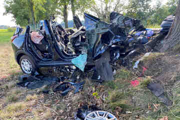 Opel kracht frontal gegen Baum: Tragischer Crash in Sachsen fordert Todesopfer