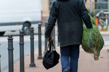Leipzig: Leipzig verschenkt heute Weihnachtsbäume: So könnt Ihr ein Exemplar abstauben